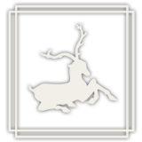 Business logo or image