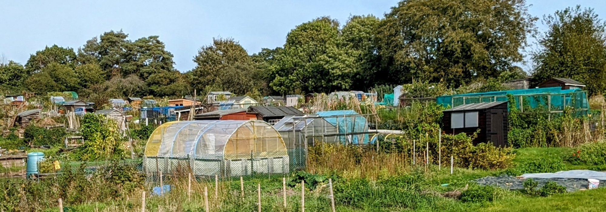 HillsideAllotments