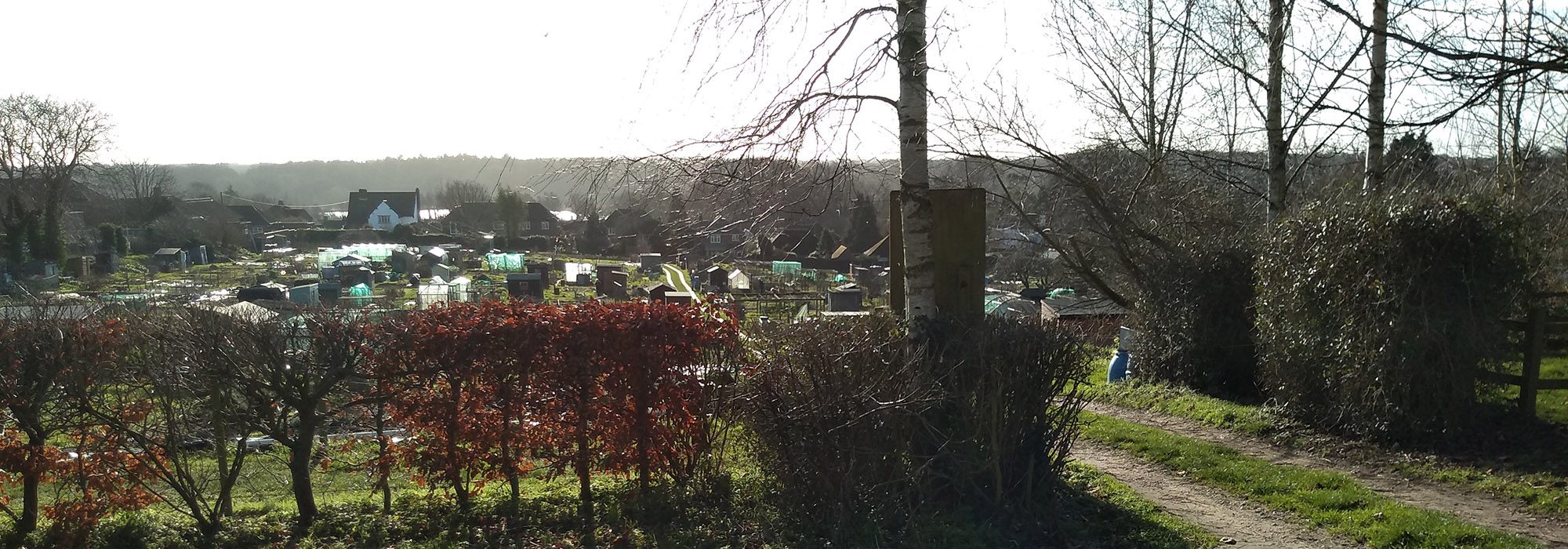 Allotments